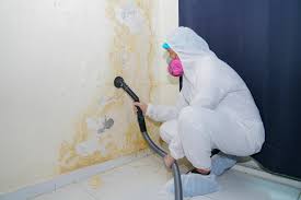 Trusted Bloomingburg, OH Mold Inspection Experts